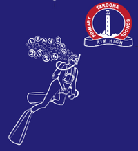 Load image into Gallery viewer, Taroona Primary 2025 Grade 6 Hoodie Youth Sizing